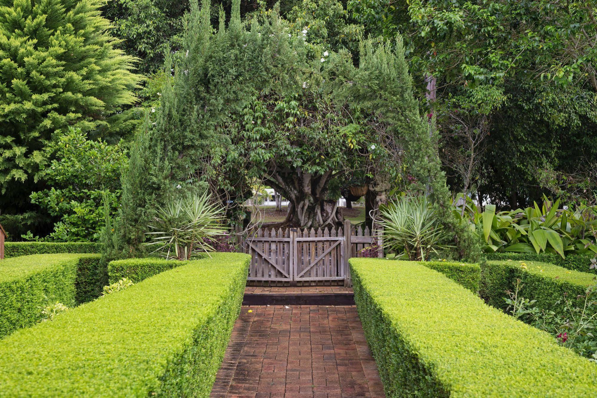 Allumbah Pocket Cottages Yungaburra Ngoại thất bức ảnh