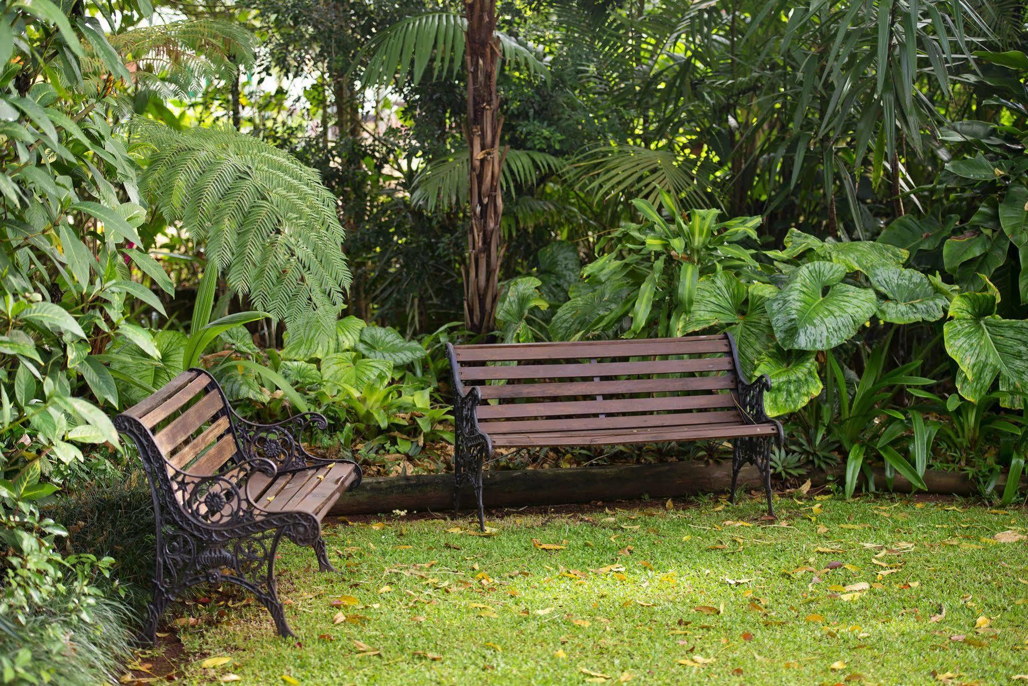 Allumbah Pocket Cottages Yungaburra Ngoại thất bức ảnh